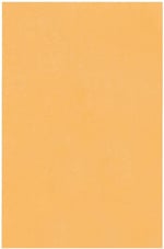 Quality Park #1 Bozuk Para ve Küçük Parça Zarfı, 28 lb. Kahverengi Kraft, 5.7x8.9 cm, 500'lü Kutu (50162)