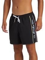 Quiksilver Aqyjv03139 Everyday Vert Volley16 Kırmızı Erkek Şort
