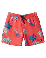 Quiksilver AQYJV03147-34050 Spor Ayakkabı Erkek