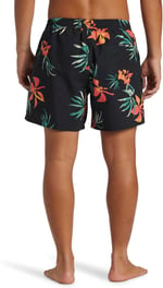 Quiksilver Aqyjv03147 Everyday Mix Volley 15 Siyah Erkek Şort