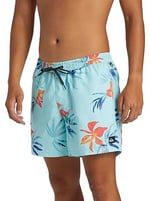 Quiksilver Aqyjv03147 Everyday Mix Volley 15 Açık Mavi Erkek Şort