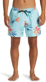 Quiksilver Aqyjv03147 Everyday Mix Volley 15 Açık Mavi Erkek Şort