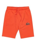 Quiksilver Çocuğun Kolay Günü Jogger Kısa Gençlik Pantolonu