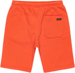 Quiksilver Çocuğun Kolay Günü Jogger Kısa Gençlik Pantolonu