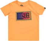 Quiksilver DAY TRIPPER SS BOY Tişört Erkek çocuk