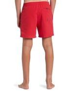 Quiksilver Erkek Çocuk Turuncu Everyday Solid Volley Şort Mayo, 2156638