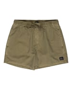 Quiksilver Erkek Everyday Surfwash Volley 15 Board Şort