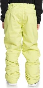 Quiksilver Estate 8-16 Yaş Kayak/Snowboard Pantolon-EQBTP03055