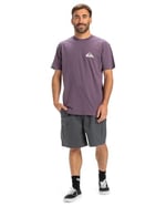 Quiksilver Ev Mini Logo Ss Tişört Erkekler