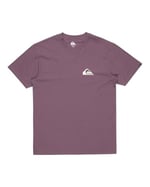 Quiksilver Ev Mini Logo Ss Tişört Erkekler