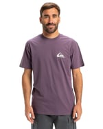 Quiksilver Ev Mini Logo Ss Tişört Erkekler