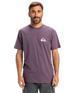 Quiksilver Ev Mini Logo Ss Tişört Erkekler