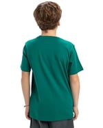 Quiksilver Ev Skull Feast SS YTH Erkek Çocuk Tişörtü (1'li Paket)