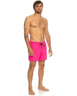 Quiksilver Everyday 15 M Jamv Şort Mayo Erkek