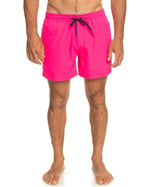 Quiksilver Everyday 15 M Jamv Şort Mayo Erkek