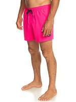 Quiksilver Everyday 15 M Jamv Şort Mayo Erkek