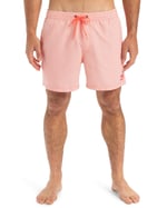 Quiksilver Everyday Deluxe Volley 15sörf şortuErkek