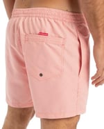 Quiksilver Everyday Deluxe Volley 15sörf şortuErkek