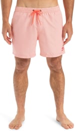 Quiksilver Everyday Deluxe Volley 15sörf şortuErkek