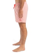 Quiksilver Everyday Deluxe Volley 15sörf şortuErkek