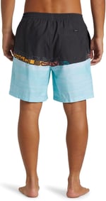 Quiksilver Everyday Erkek Mavi Deniz Şortu