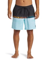Quiksilver Everyday Erkek Mavi Deniz Şortu