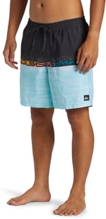 Quiksilver Everyday Erkek Mavi Deniz Şortu