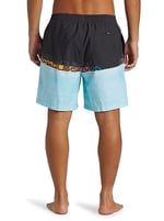 Quiksilver Everyday Erkek Mavi Deniz Şortu