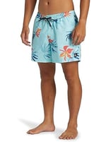 Quiksilver Everyday Mix Volley 15 Klasik şort Erkek