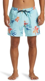 Quiksilver Everyday Mix Volley 15 Klasik şort Erkek