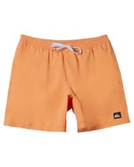 Quiksilver Everyday Solid Volley 15 Erkek Turuncu Deniz Şortu AQYJV03153-NJF0