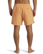 Quiksilver Everyday Solid Volley 15 Erkek Turuncu Deniz Şortu AQYJV03153-NJF0