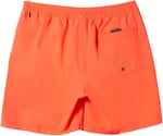 Quiksilver Everyday Solid Volley Yth 14 Boardshorts Erkek çocuk