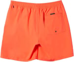 Quiksilver Everyday Solid Volley Yth 14 Boardshorts Erkek çocuk