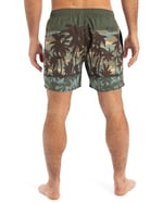 Quiksilver Everyday Straight Volley 15 Jam/Volley Erkekler