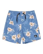 Quiksilver Everyday Straight Volley Erkek Çocuk Şort, EQBJV03501