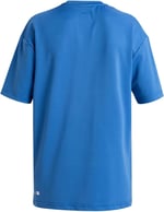 Quiksilver Everyday Surf Tee Ss Gençlik Tişört Erkek çocuk