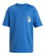 Quiksilver Everyday Surf Tee Ss Gençlik Tişört Erkek çocuk