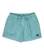 Quiksilver Everyday Surfwash Volley 15sörf şortuErkek