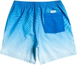 Quiksilver Everyday Warped Logo Volley 17 sörf şortu Erkek