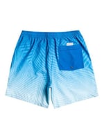 Quiksilver Everyday Warped Logo Volley 17 sörf şortu Erkek