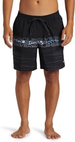 Quiksilver Everyday Wordblock Volley 17 Klasik şort Erkek