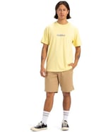 Quiksilver Fineline Ss Tişört Erkekler