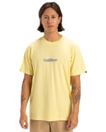 Quiksilver Fineline Ss Tişört Erkekler