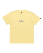 Quiksilver Fineline Ss Tişört Erkekler