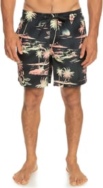 Quiksilver Mix 17 M Jamv Sörf Mayosu Erkek