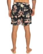 Quiksilver Mix 17 M Jamv Sörf Mayosu Erkek