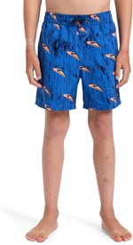 Quiksilver Next Gen Yth 14 Erkek Çocuk Volley Deniz Şortu, 2158723