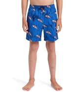 Quiksilver Next Gen Yth 14 Erkek Çocuk Volley Deniz Şortu, 2158723