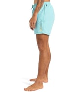 Quiksilver Spl Fineline Volley 15 Sörf Mayosu Erkekler